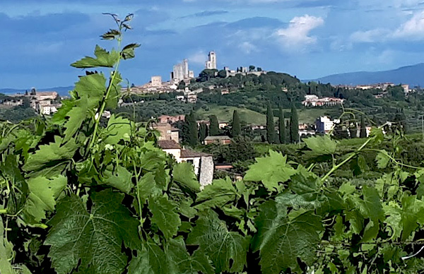 San Gimignano visita guidata nella campagna attorno al borgo